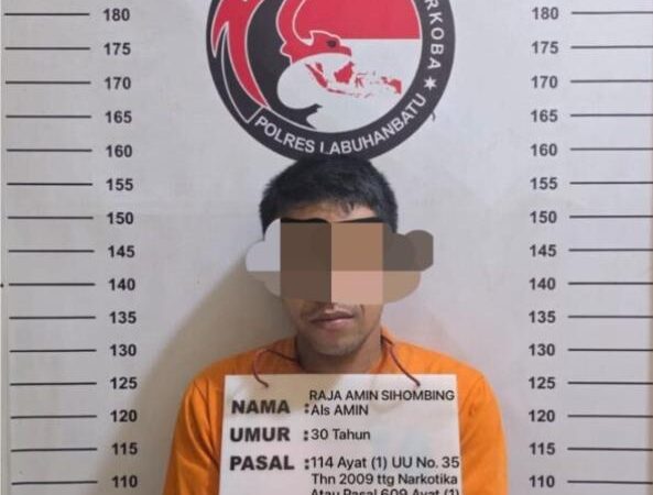 Bawa 4 Bungkus Sabu, Raja Amin Sihombing Diciduk Polisi