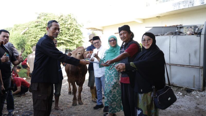 RSUD dr. Chasbullah Abdulmadjid Tebar Kepedulian di Hari Raya Iduladha 1447 H, Sembelih 9 Sapi dan 2 Kambing Kurban