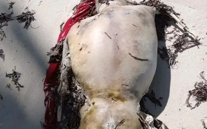 Penemuan Mayat di MBD Diduga Korban Tenggelam Spit Bot