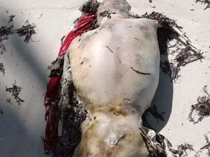Penemuan Mayat di MBD Diduga Korban Tenggelam Spit Bot 
