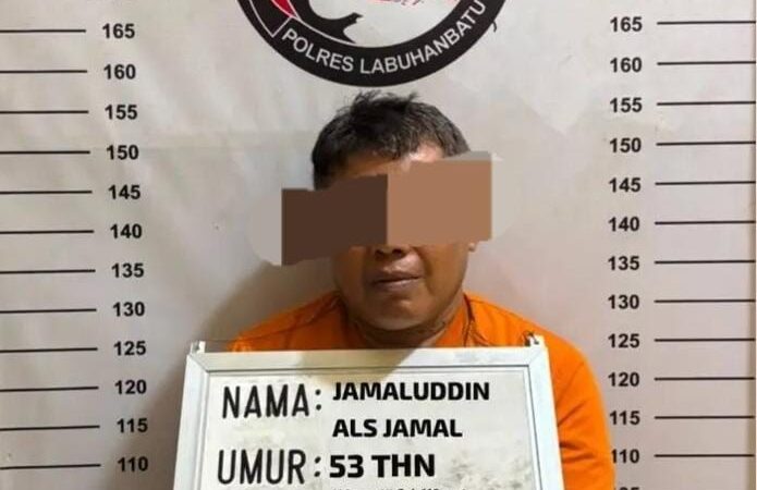 BELUM JERA JUGA, RESIDIVIS KEMBALI DI BEKUK , JAMALUDDIN DI RINGKUS TIM SATRESNARKOBA POLRES LABUHANBATU   