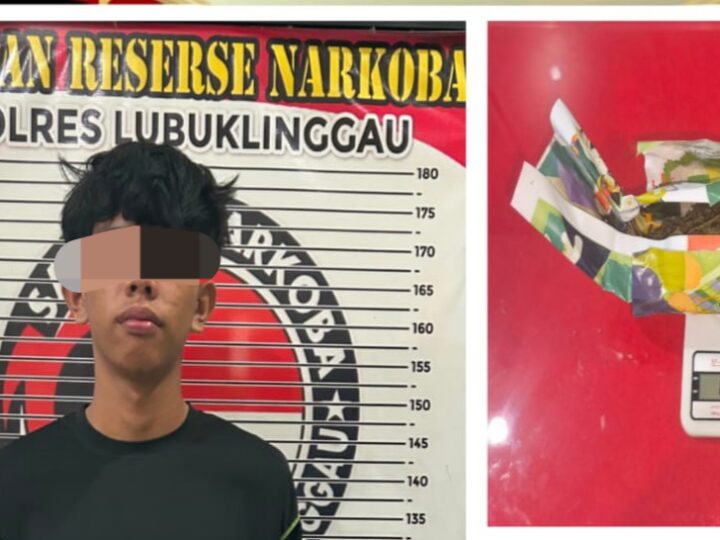 Satresnarkoba Polres Lubuk Linggau Kembali Gagalkan Peredaran Narkoba, Jenis Daun Ganja Kering BB 136 Gram Dari Seorang Remaja Inisial MRP