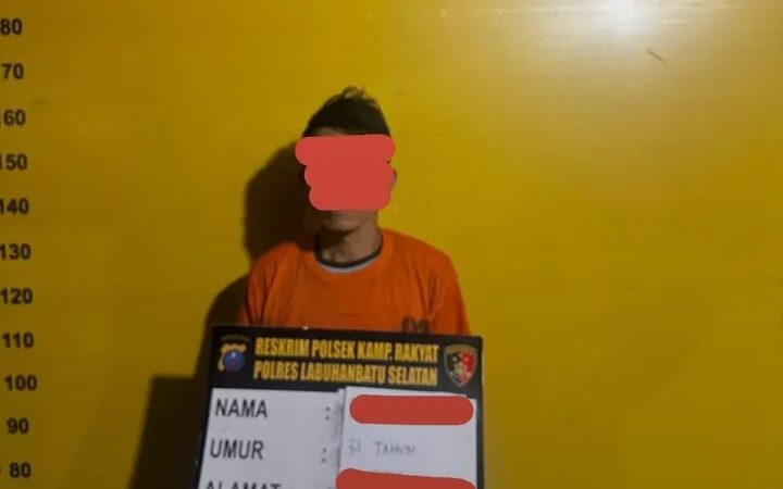 Polsek kampung rakyat mengamankan aksi Pencurian Sawit di Labuhanbatu Selatan,Pelaku Ditangkap Bersama 175 Kilogram Buah Curian