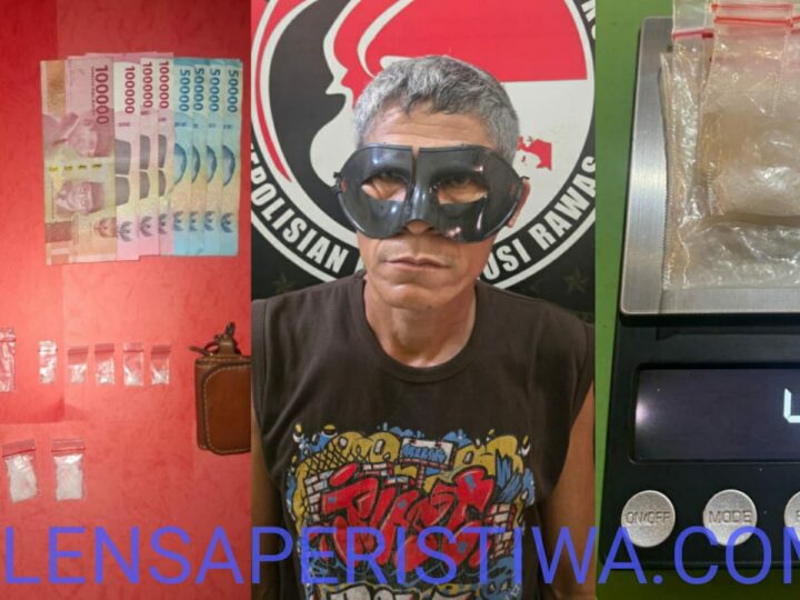 TIM ELANG MUSI RINGKUS PENGEDAR SABU DI PONDOK PERKEBUNAN SAWIT, PEREDARAN NARKOBA Di GAGALKAN