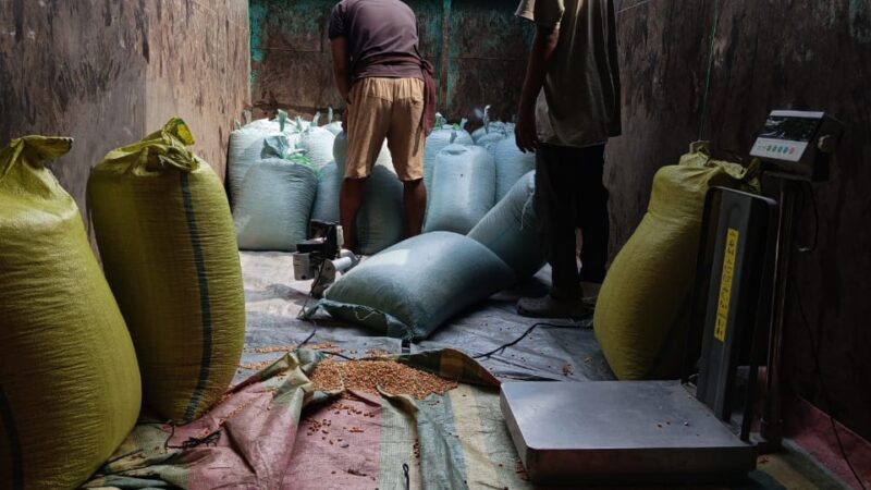Polsek Muara Kelingi Dampingi Petani Salurkan 2,3 Ton Jagung ke Bulog, Hasil Panen Lulus Uji Kualitas
