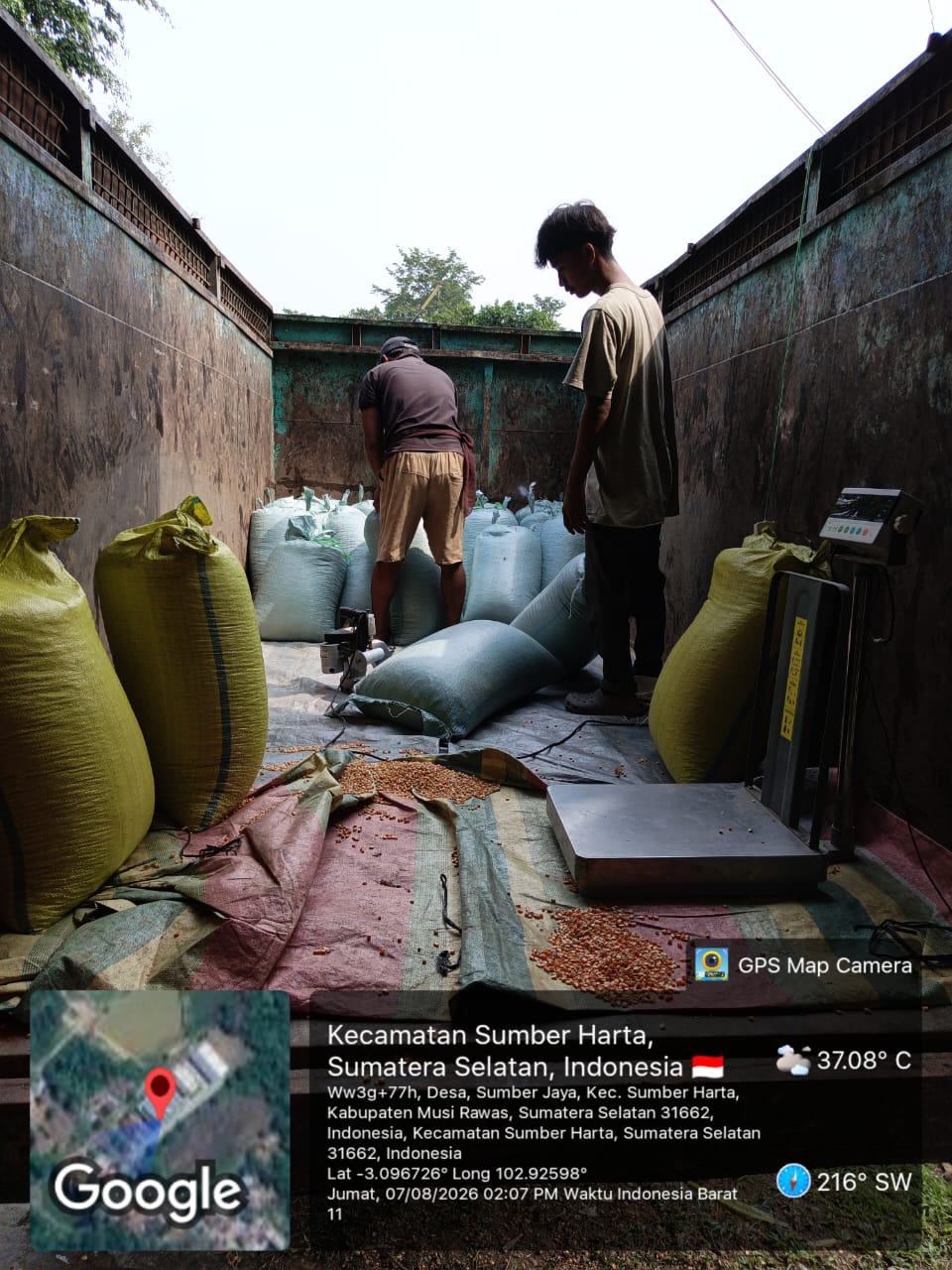 Polsek Muara Kelingi Dampingi Petani Salurkan 2,3 Ton Jagung ke Bulog, Hasil Panen Lulus Uji Kualitas