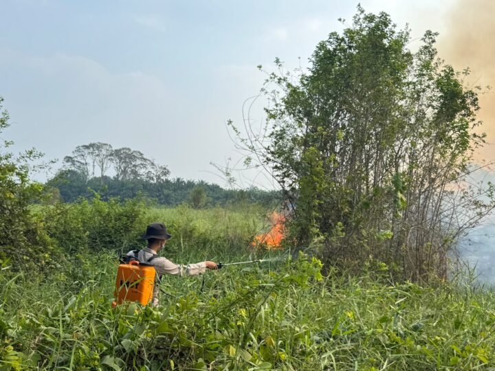 Polsek Muara Lakitan Polres Musi Rawas bersama TNI, Perusahaan dan warga padamkan Karhutla di Prabumulih II