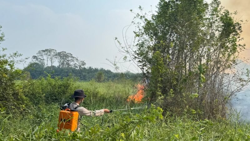 Polsek Muara Lakitan Polres Musi Rawas bersama TNI, Perusahaan dan warga padamkan Karhutla di Prabumulih II