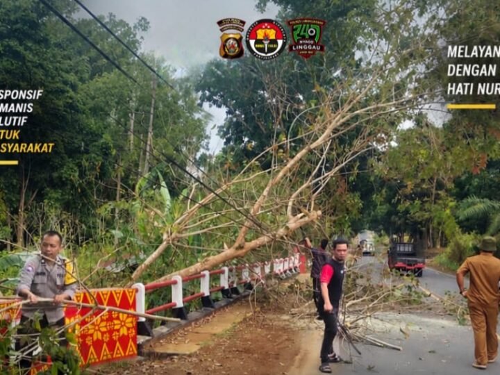 BHABINKAMTIBMAS BERSAMA TNI DAN WARGA MEMBERSIHKAN JALAN LINTAS,SEBAB ADANYA KAYU KARET ROBOH YANG MENUTUPI SEBAGAI JALAN.