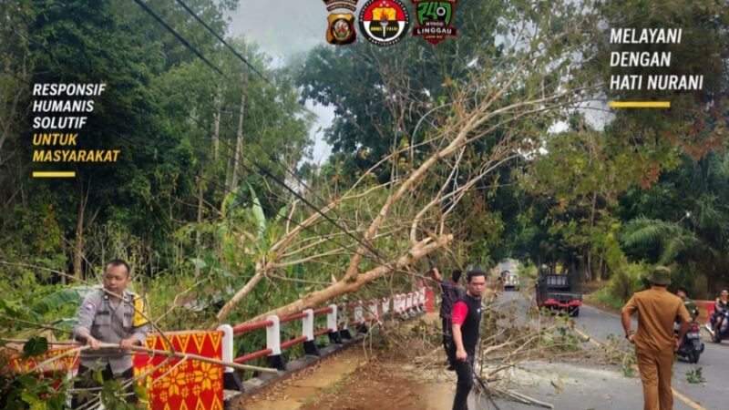 BHABINKAMTIBMAS BERSAMA TNI DAN WARGA MEMBERSIHKAN JALAN LINTAS,SEBAB ADANYA KAYU KARET ROBOH YANG MENUTUPI SEBAGAI JALAN.