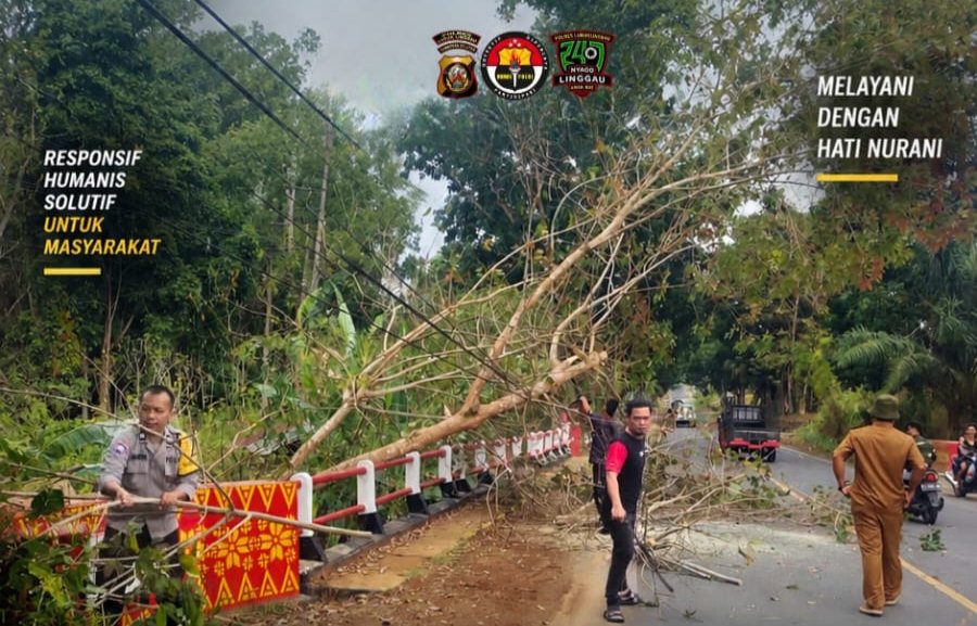 BHABINKAMTIBMAS BERSAMA TNI DAN WARGA MEMBERSIHKAN JALAN LINTAS,SEBAB ADANYA KAYU KARET ROBOH YANG MENUTUPI SEBAGAI JALAN.