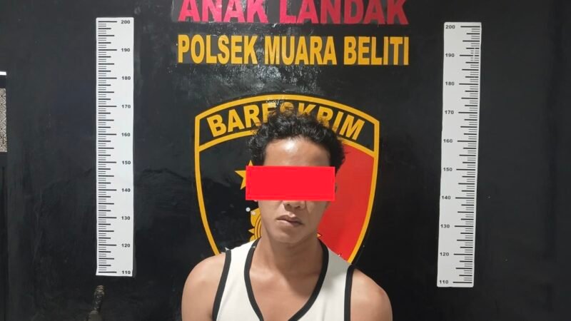 OPERASI SIKAT 1 MUSI 2026,SEORANG DPO CURAT BUAH SAWIT DIBEKUK POLSEK MUARA BELITI