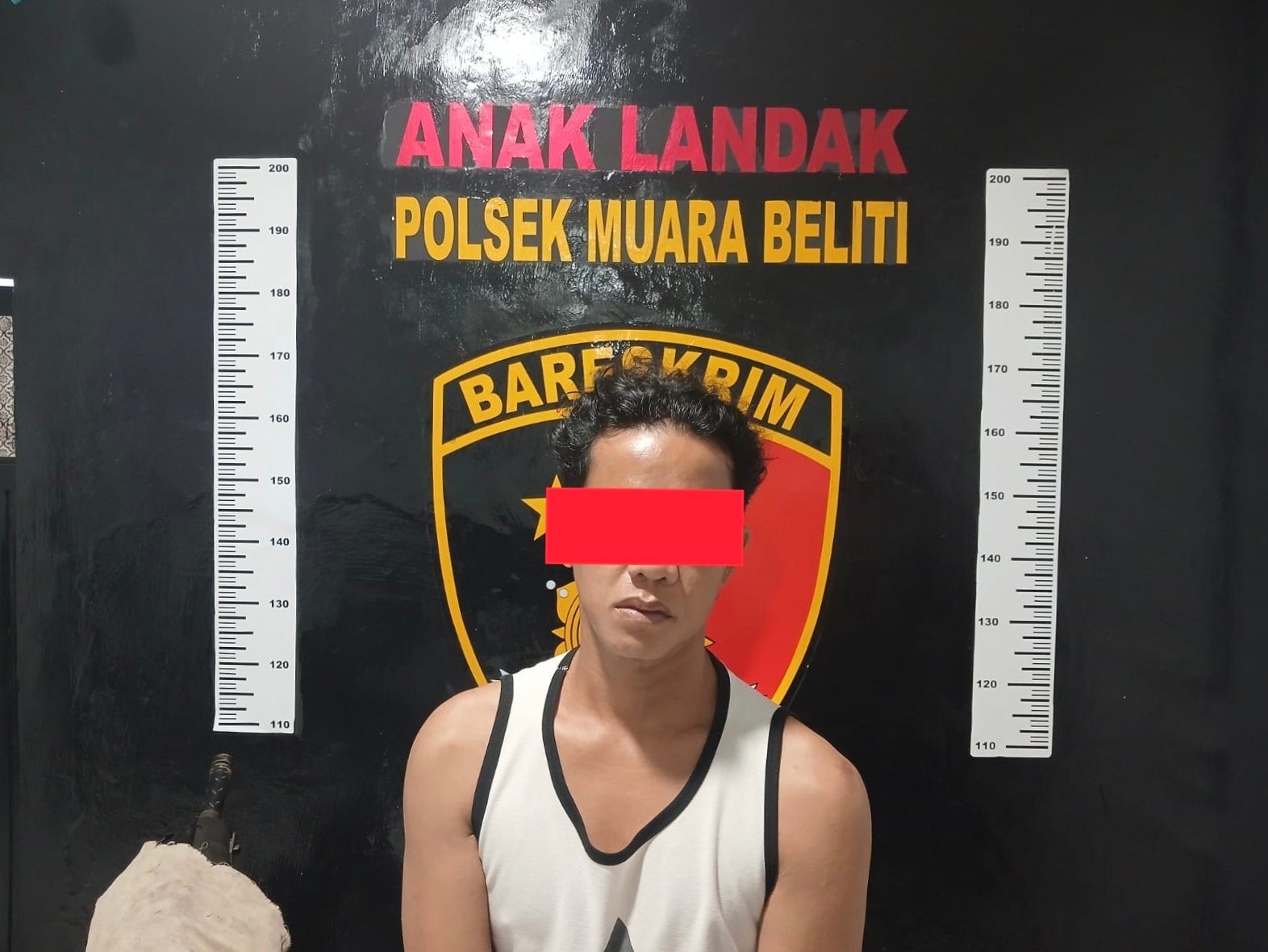 OPERASI SIKAT 1 MUSI 2026,SEORANG DPO CURAT BUAH SAWIT DIBEKUK POLSEK MUARA BELITI