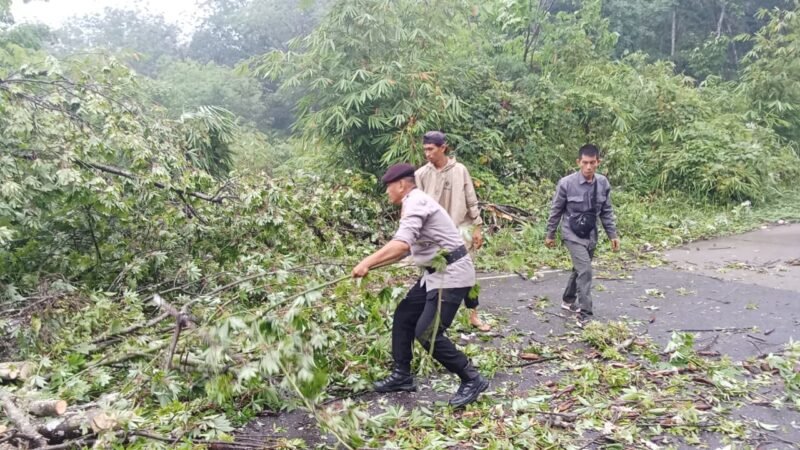 Pohon Tumbang Menghalangi Arus Lalulintas Akibat Derasnya Curah Hujan, Dengan Sigapnya Patroli Polsek Lubuk Linggau Barat Bersama Warga Melakukan Pembersihan