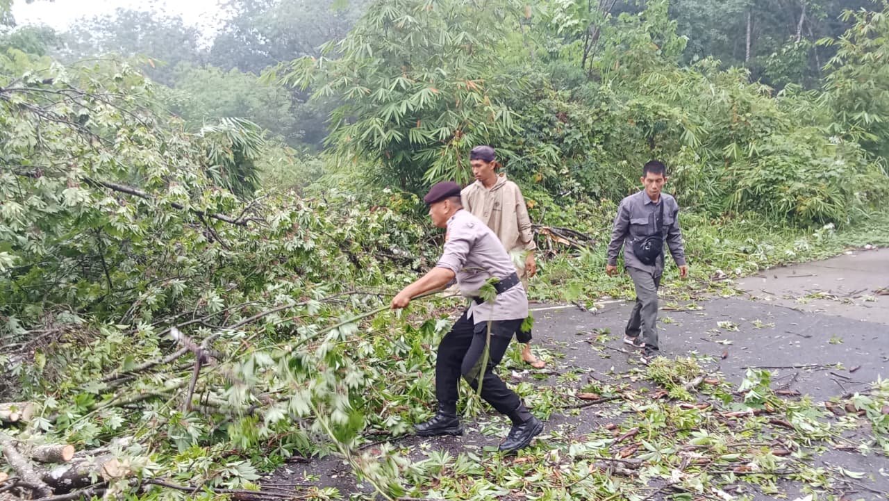 Pohon Tumbang Menghalangi Arus Lalulintas Akibat Derasnya Curah Hujan, Dengan Sigapnya Patroli Polsek Lubuk Linggau Barat Bersama Warga Melakukan Pembersihan