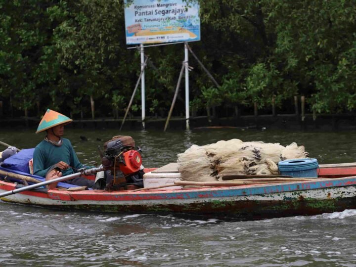 Potensi Pesisir Utara Bekasi, Perikanan hingga Ekowisata Bisa Dorong Ekonomi Warga